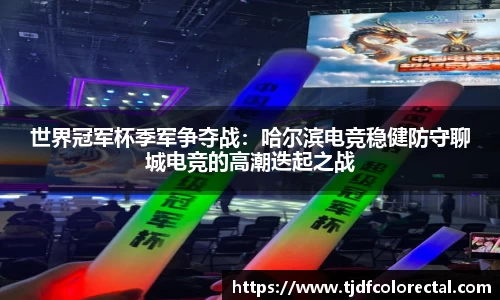 南宫NG28